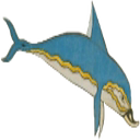 Dolphin